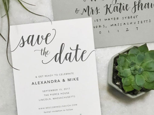 Alexandra & Michael Save the Date